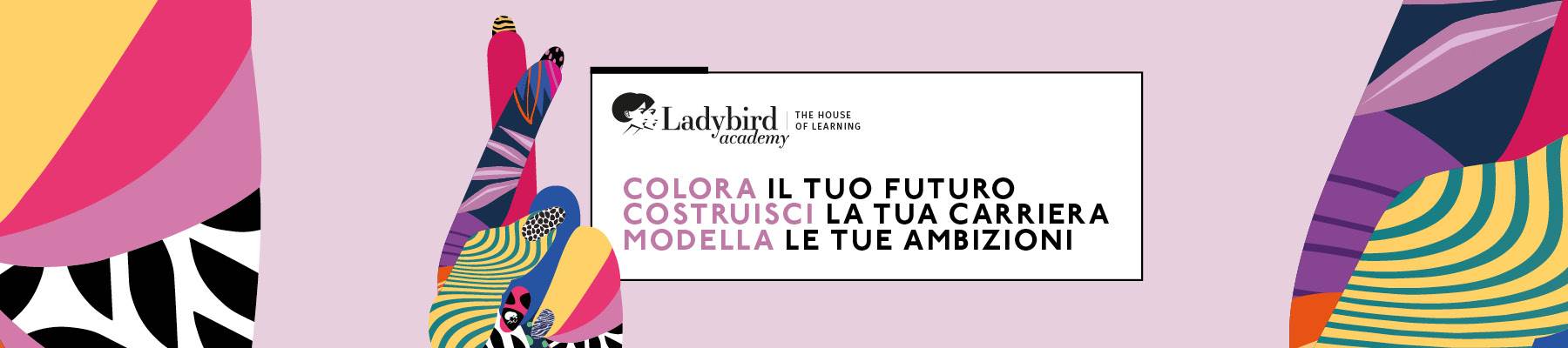 Ladybird academy home